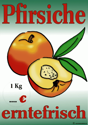 Pfirsiche 2