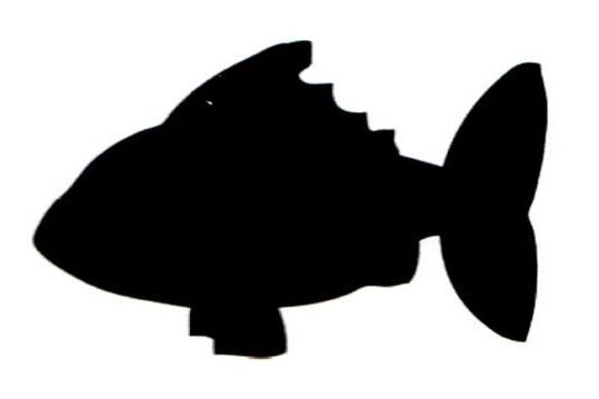 Silhouette-Tafel, Fisch inkl. Mini-Kreidemarker